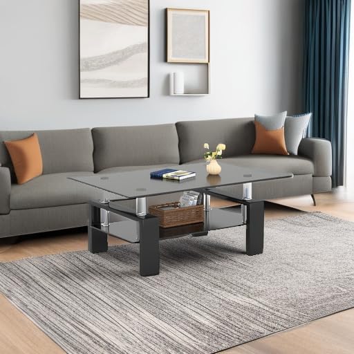 FormaHaven Modern 2-Tier Glass Coffee Table with Black Metal Legs